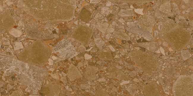 Arcana | Black & Cream