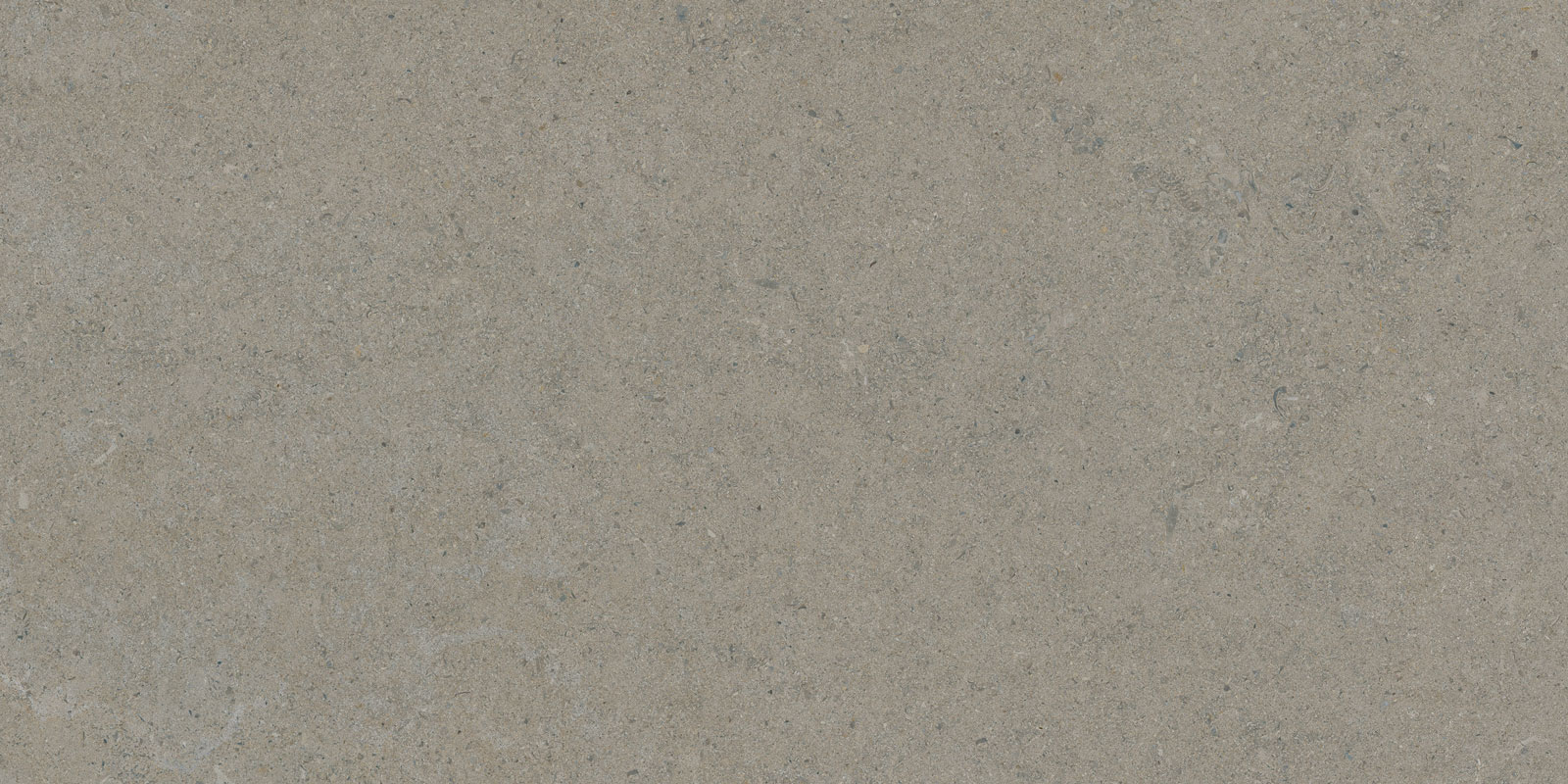 CALCARE GREIGE 60X120 — Tau Ceramica Calcare