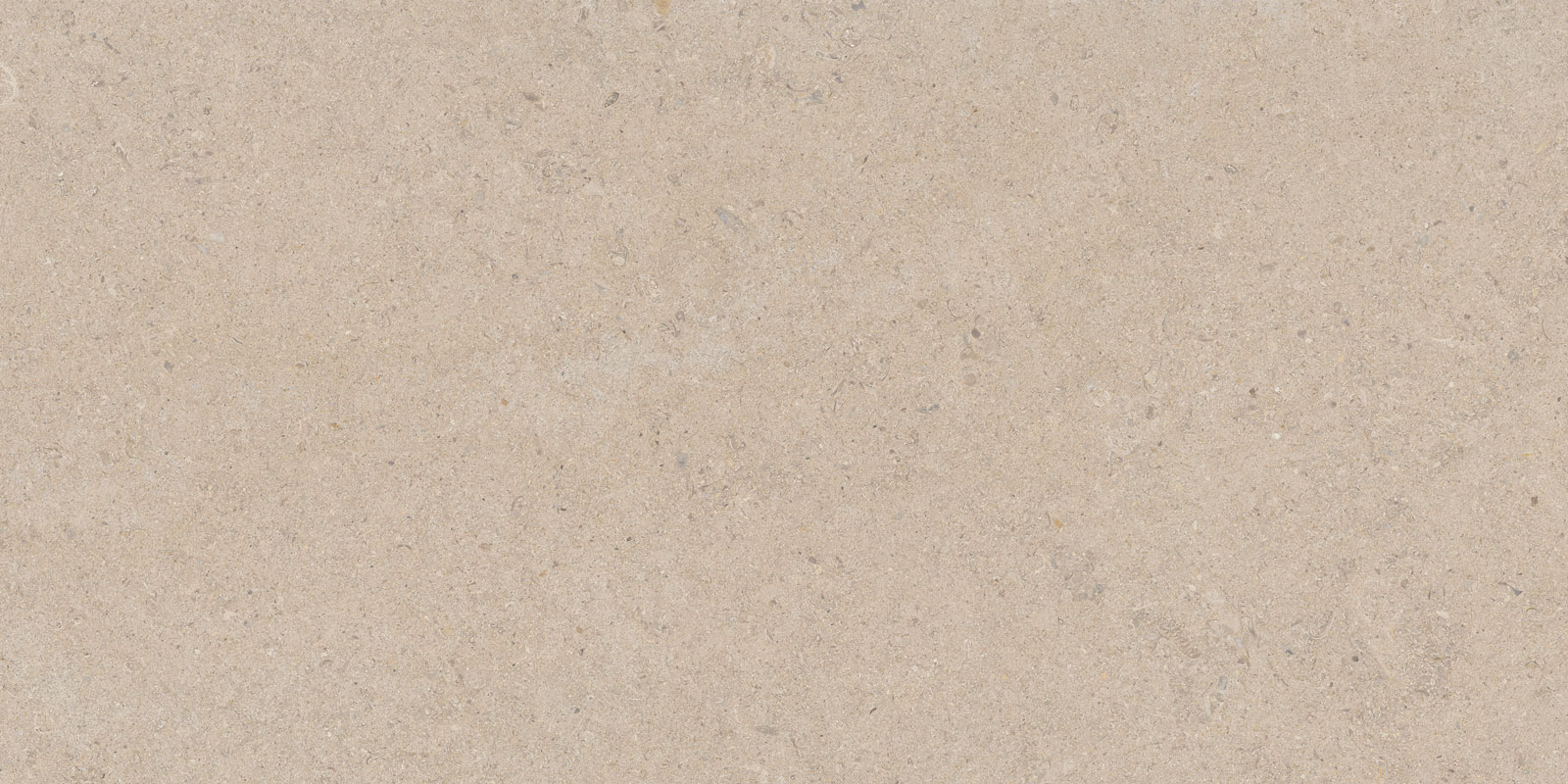 CALCARE SAND 100X100 — Tau Ceramica Calcare