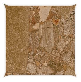 Arcana | Black & Cream