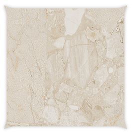 Arcana | Black & Cream