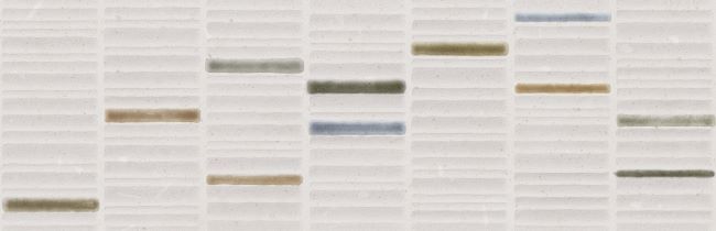 Arcana | Topping Terrazo