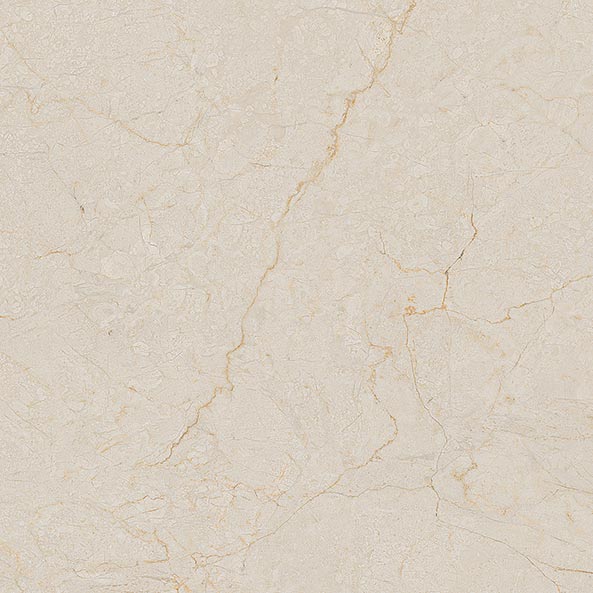 Arcana | Black & Cream