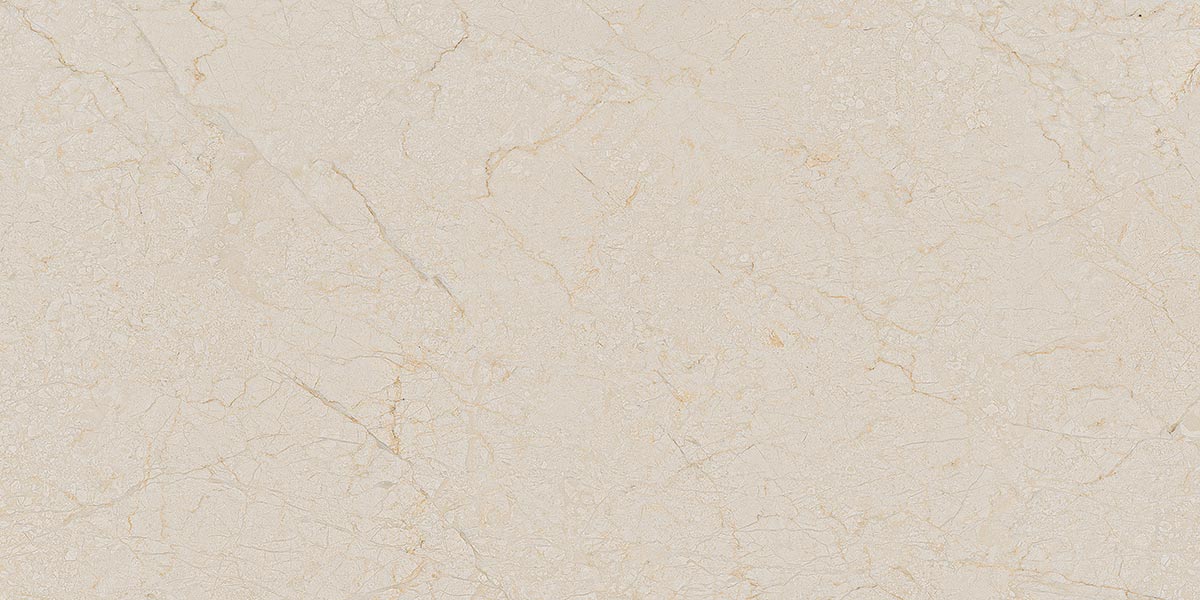 Arcana | Black & Cream