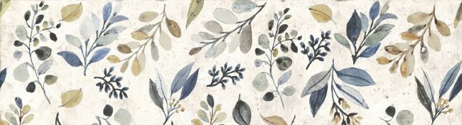 Codicer 95 | Evergreen