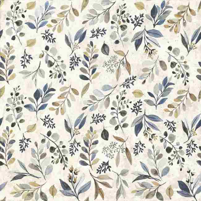 Codicer 95 | Evergreen