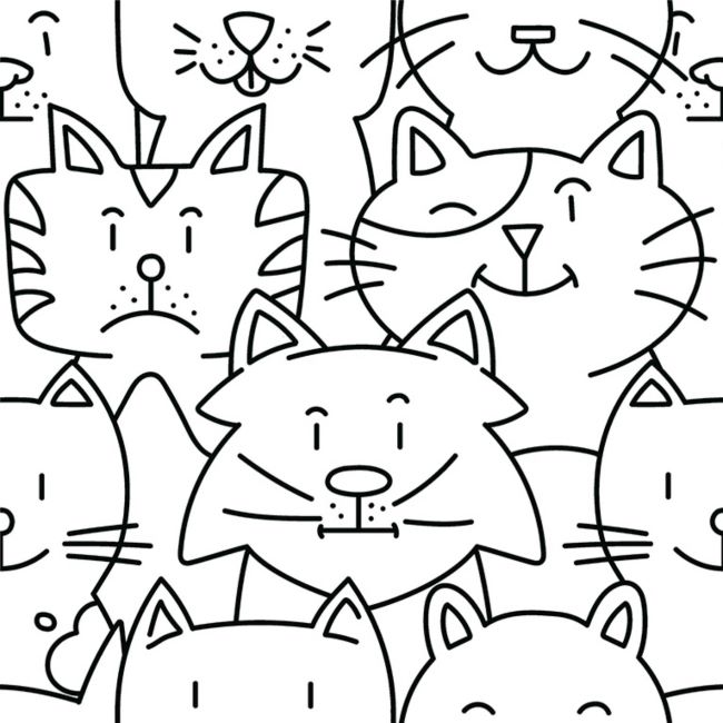 Codicer 95 | Oh my cat