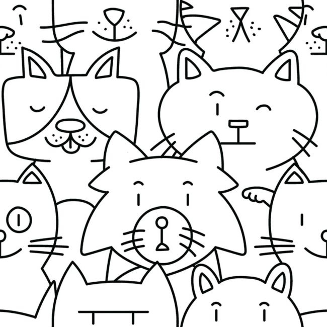 Codicer 95 | Oh my cat