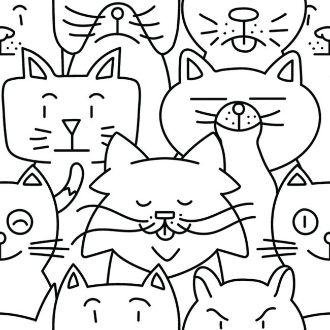 Codicer 95 | Oh my cat