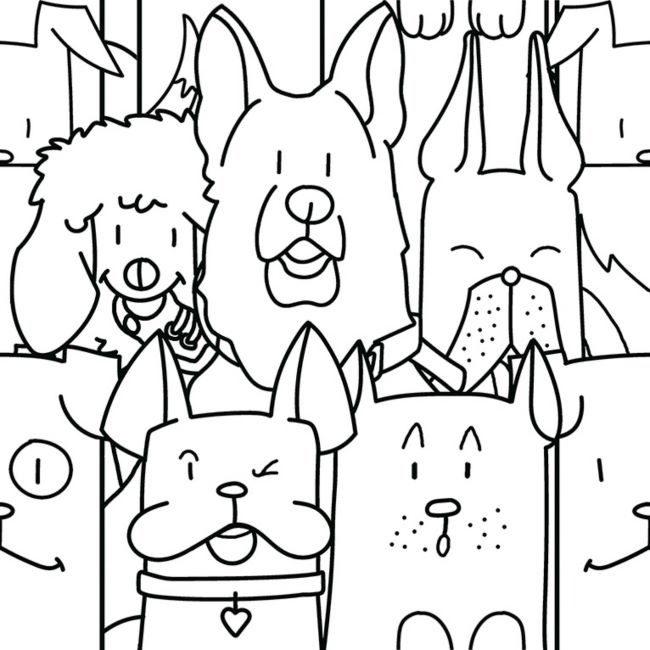 Codicer 95 | Oh my dog