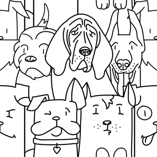 Codicer 95 | Oh my dog